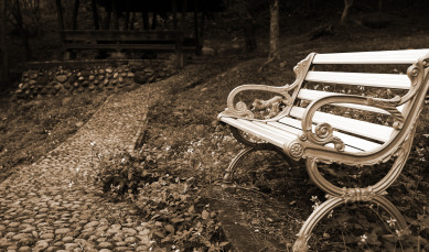 Pathway of grief with bench
